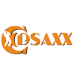 logo Ed saxx site