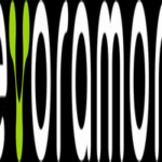 LOGO EVORAMON - CURITIBA