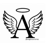 WhatsApp Image 2026-03-31 at 2.38.38 PM (4)